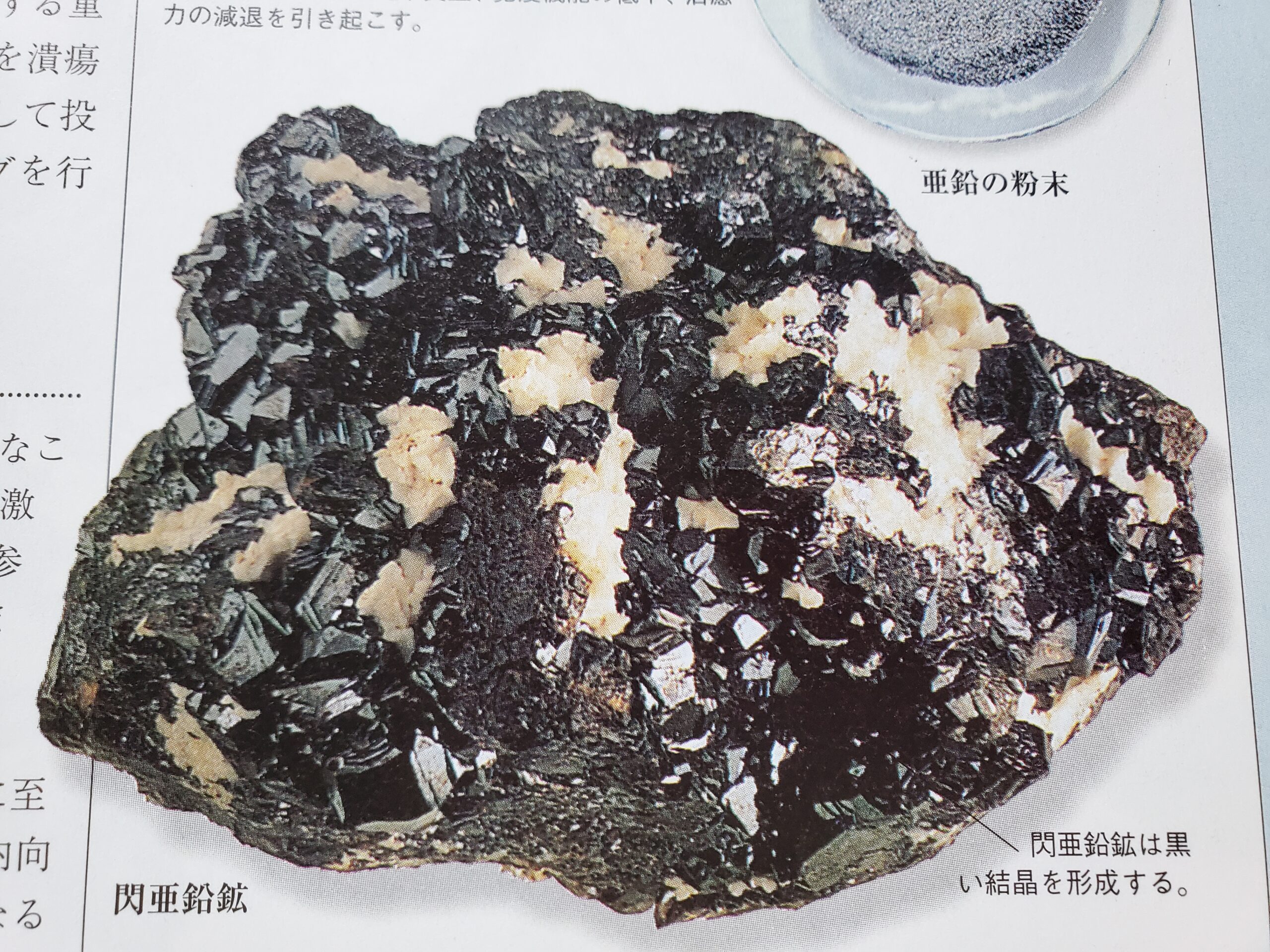 バナジー・プロトコル ホメオパシーにおける病理的アプローチ ホメオパシー アルセニカムALB30C販売 | 自然療法の専門店 | リンガリンガ